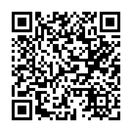 QR code for XVP739