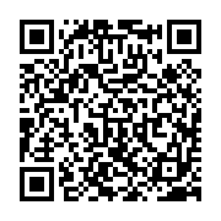 QR code for XVR013