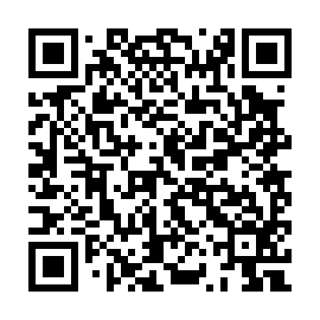 QR code for XVR096