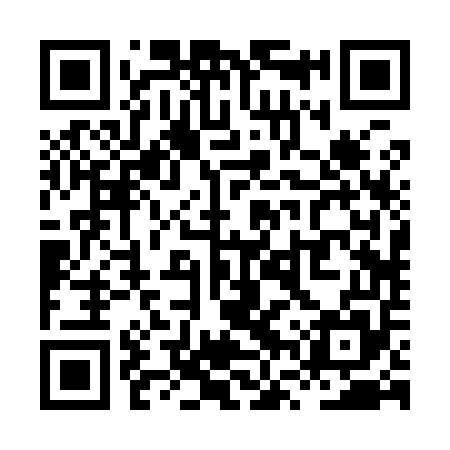 QR code for XVR955