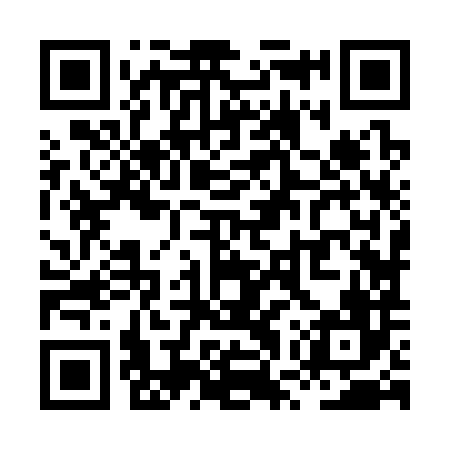 QR code for XWZ386
