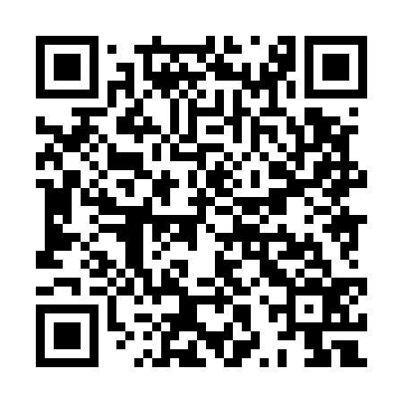 QR code for XXX536