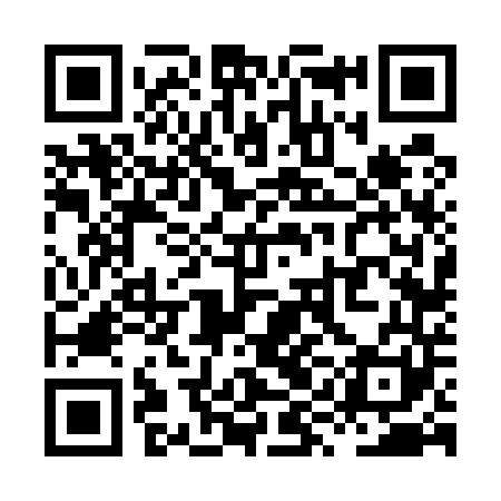 QR code for XYF541