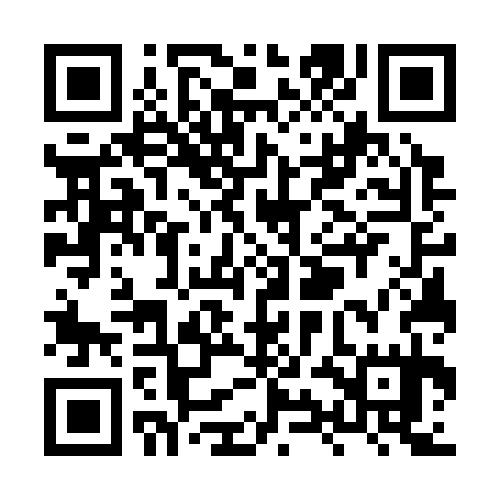 QR code for XYG335