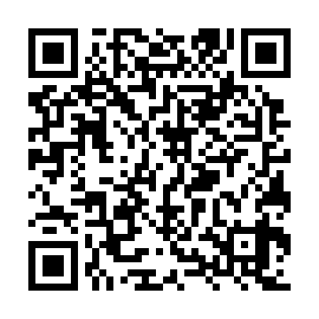 QR code for XYG339