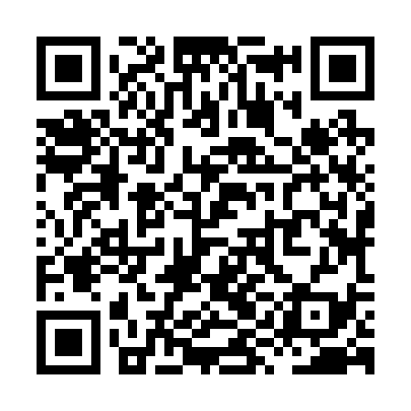 QR code for XYJ239