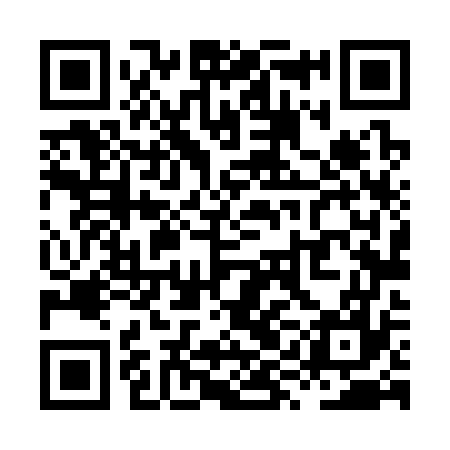 QR code for XYL377