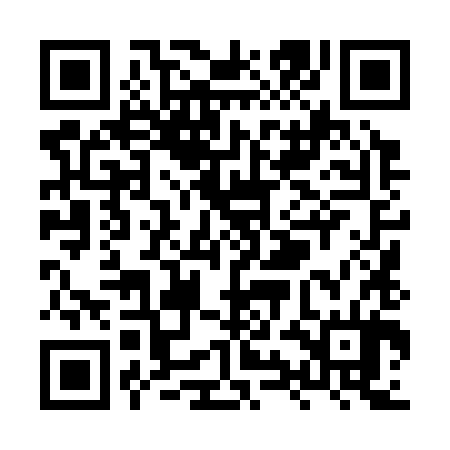 QR code for XYL384