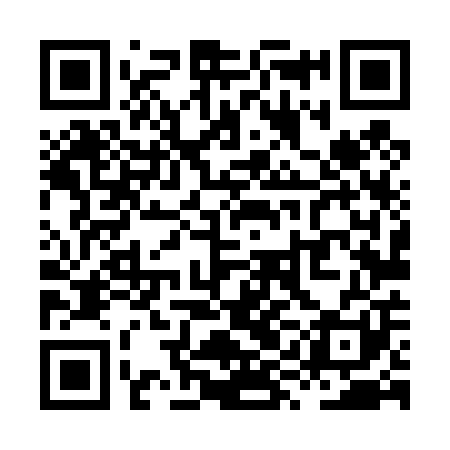 QR code for XYL401