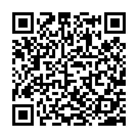 QR code for XYL408