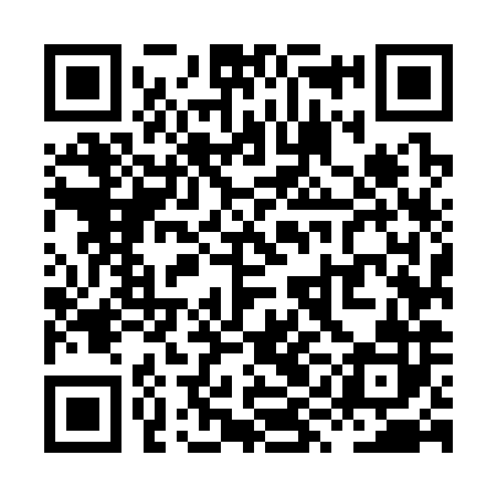QR code for XYM382