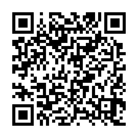 QR code for XYN333