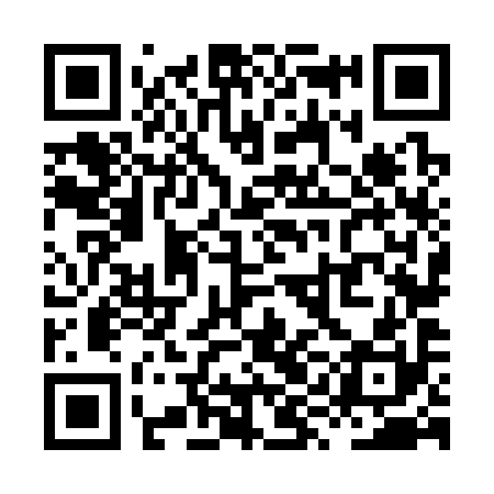 QR code for XYN390
