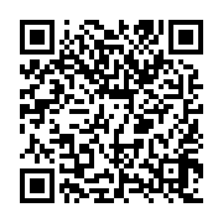 QR code for XYN818