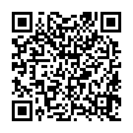 QR code for XYO387