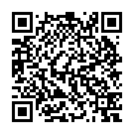 QR code for XYQ239