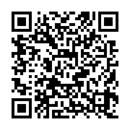 QR code for XYQ739