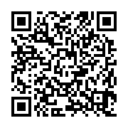 QR code for XYR381