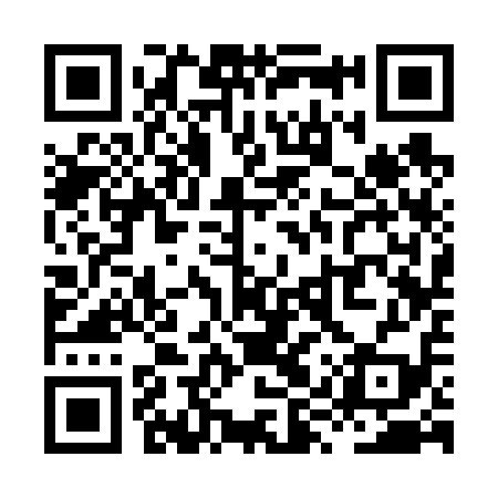 QR code for XYS619