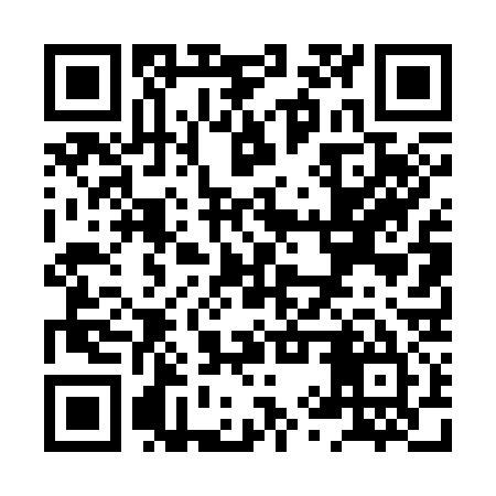 QR code for XYT335