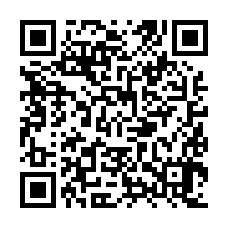 QR code for XYV087