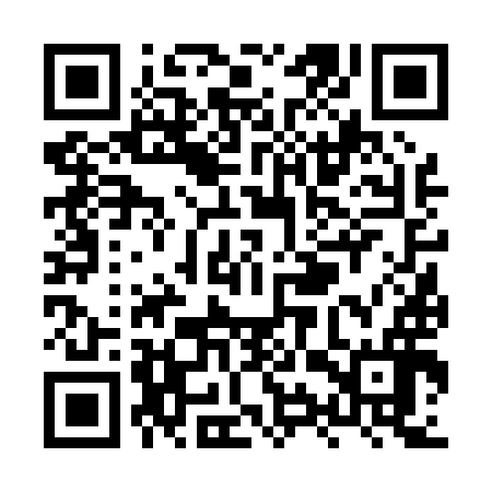 QR code for XYV096