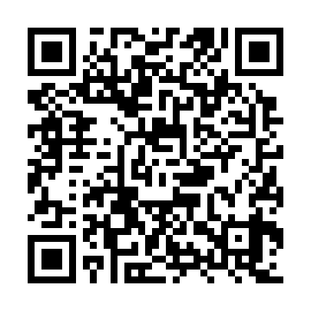 QR code for XYV339