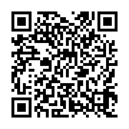 QR code for XYX519