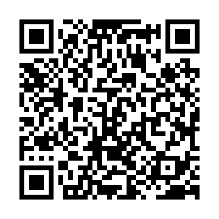 QR code for XYZ239