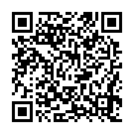QR code for XYZ377