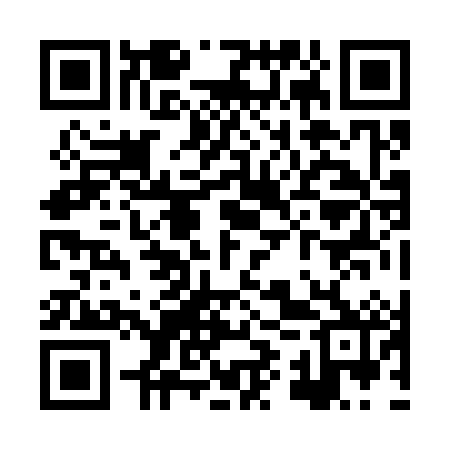 QR code for XYZ382