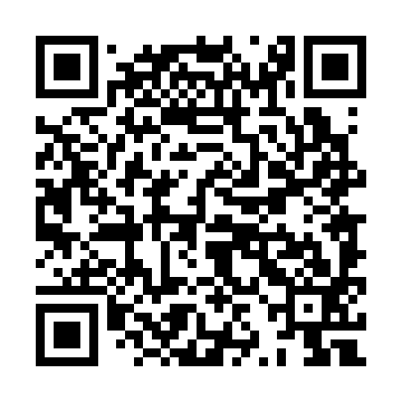 QR code for XZD393