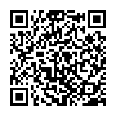 QR code for XZG339