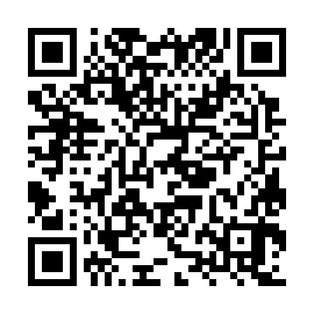 QR code for XZG382