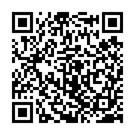 QR code for XZG653