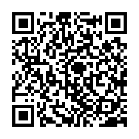 QR code for XZH729