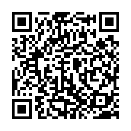 QR code for XZJ739