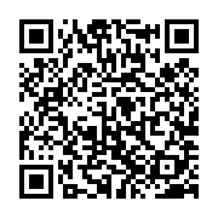 QR code for XZL489