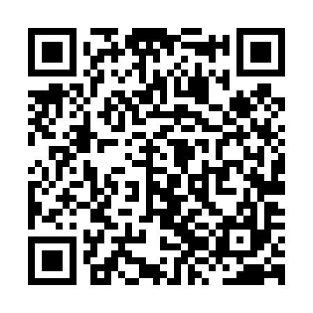 QR code for XZL497