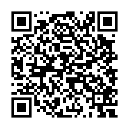 QR code for XZN009