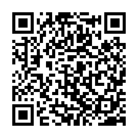 QR code for XZN251