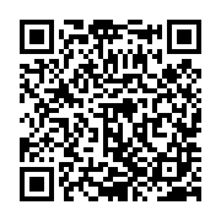 QR code for XZN483