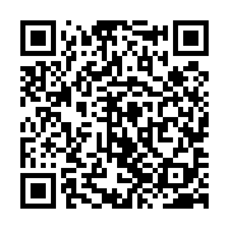 QR code for XZN599