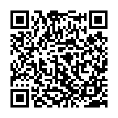 QR code for XZN607