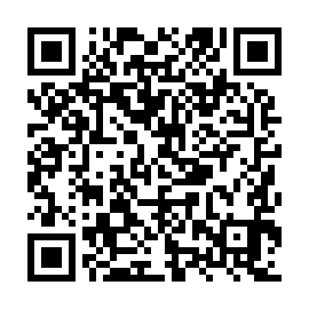 QR code for XZP991