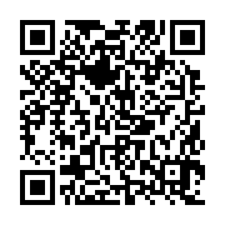 QR code for XZQ387