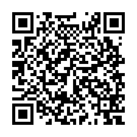 QR code for XZR399