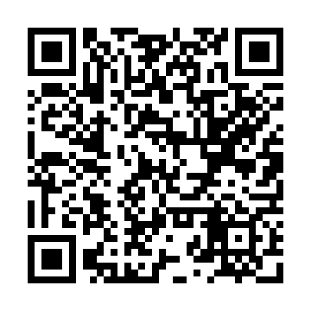 QR code for XZT369