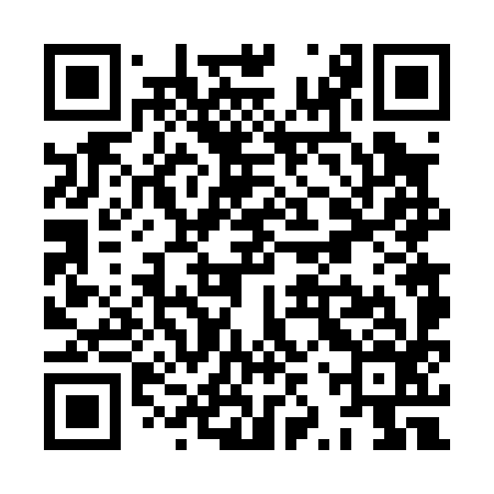 QR code for XZV096