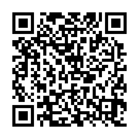 QR code for XZV333
